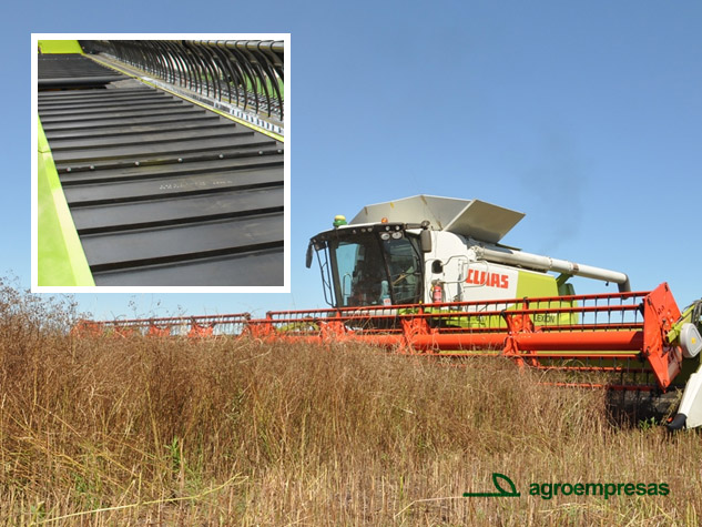 Draper para soja, trigo, sorgo, cebada. - Imagen 2